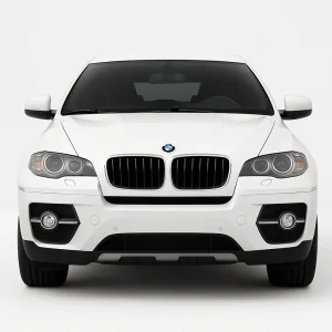 Pro+ Precut Sunstrip Tint Kit for BMW X6 2008-2014