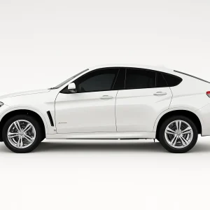 Ceramic Precut Sides Only Tint Kit for BMW X6 2015-2019