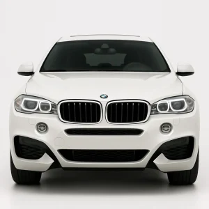 Pro+ Precut Sunstrip Tint Kit for BMW X6 2015-2019