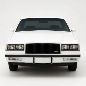 Pro+ Precut Sunstrip Tint Kit for Buick Regal 2 Door 1981-1987