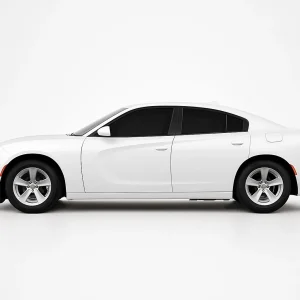 2 Ply Pro+ Precut Back Door Tint Kit for Dodge Charger 2015-2024