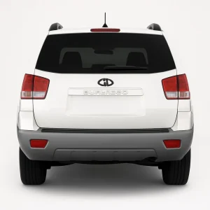 Xfinity Precut Rear Only Tint Kit for Kia Borrego 2009-2011