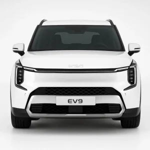 Pro+ Precut Sunstrip Tint Kit for Kia EV9 2024-2026