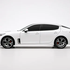 Xfinity Precut Back Door Tint Kit for Kia Stinger 2018-2023