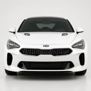 Pro+ Precut Sunstrip Tint Kit for Kia Stinger 2018-2023