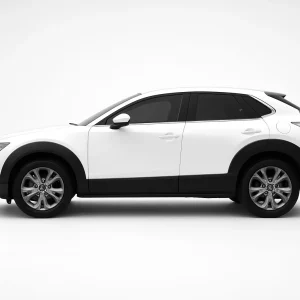 Xfinity Precut Back Door Tint Kit for Mazda CX-30 2020-2026