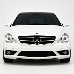 Pro+ Precut Sunstrip Tint Kit for Mercedes R Class 63 Short 2007-2007