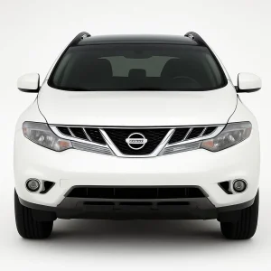 Pro+ Precut Sunstrip Tint Kit for Nissan Murano 2008-2014